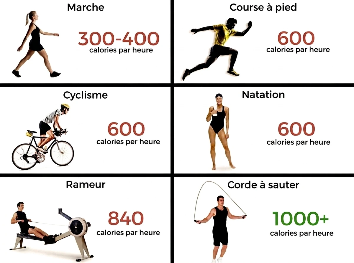 Comparatif calories brûlées par heure : corde à sauter 1000+ kcal vs marche, course, vélo, natation, rameur
